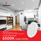 Modern kitchen and living room with Formost LED downlight on a red banner
