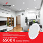 Modern kitchen and living room with Formost LED ceiling light fixture, showing a bright and open space.