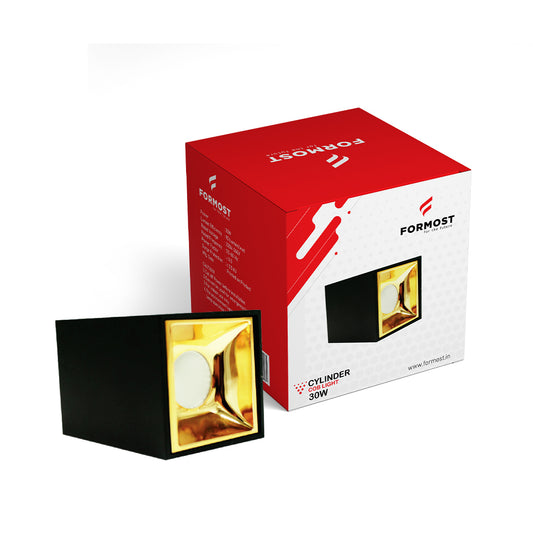 Formost light fixture with packaging on a white background